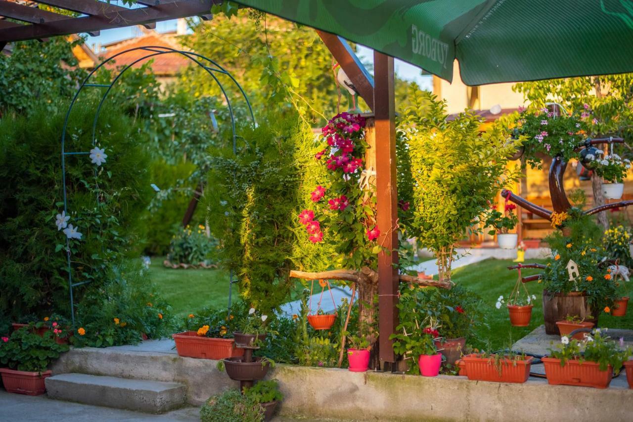 Guest House Vasilena Sapareva Banya Buitenkant foto